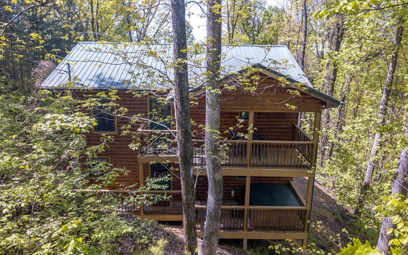 Little Bear Cabin Gatlinburg Ngoại thất bức ảnh